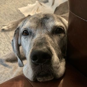 Everything must gogo🕺🏼💃🕺🏼💃🕺🏼💃